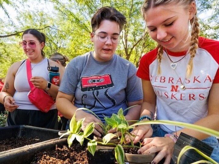Students pot plants during a Well-being Fest activity.